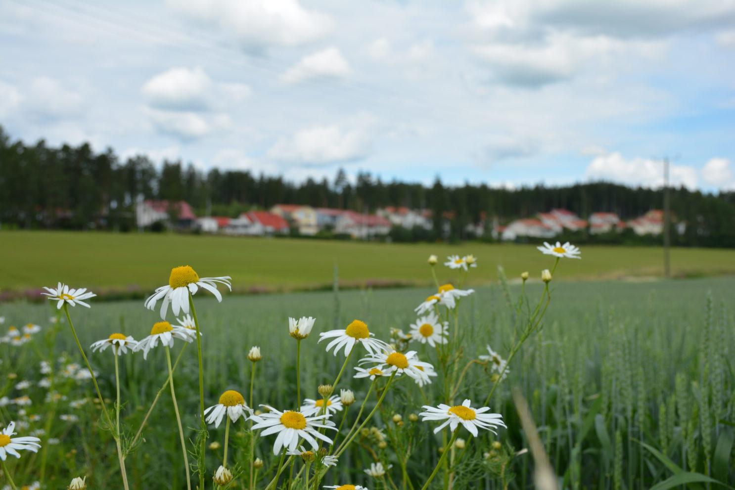 Klaukkalan kirjasto