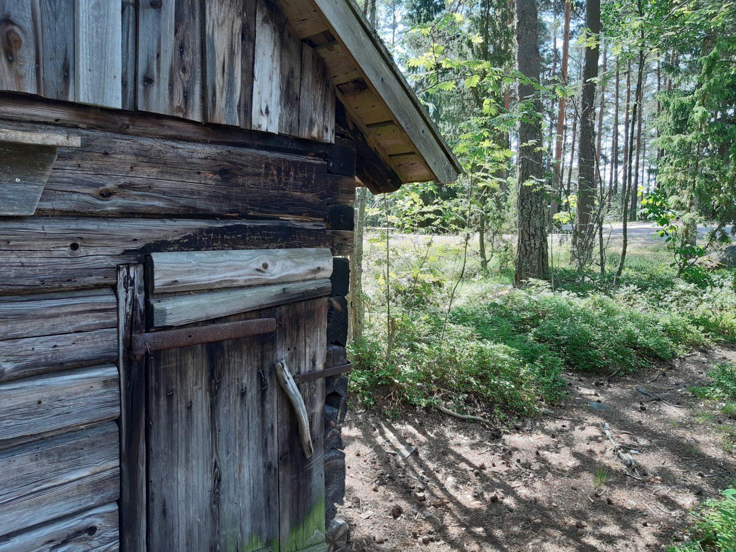 Sauna Taaborilla