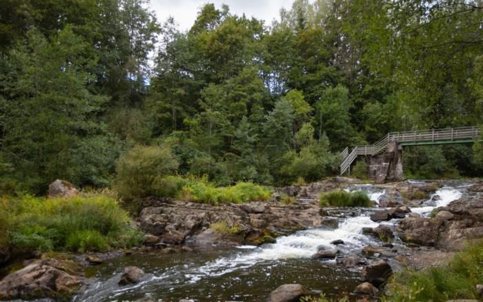 Koski, jonka ympärillä metsää. Taustalla kosken ylittävä silta.